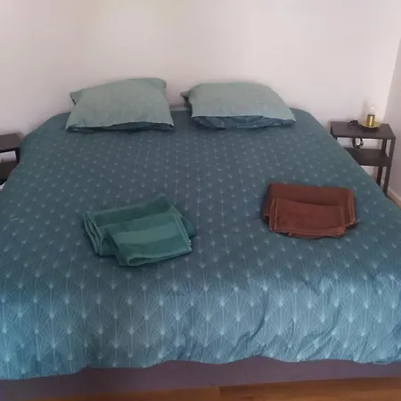 Plein Centre Apartment