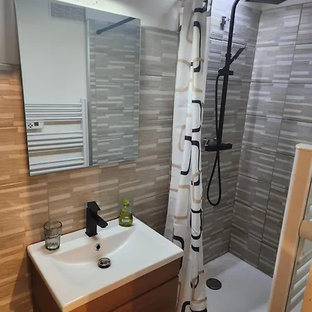 Plein Centre Apartment
