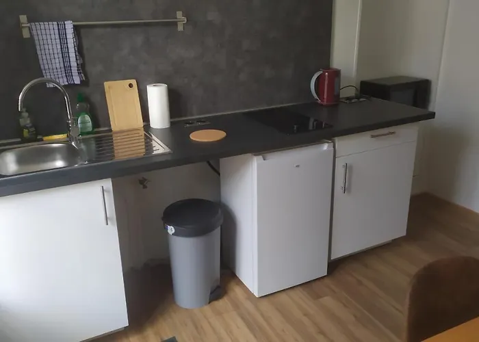 Plein Centre Apartament