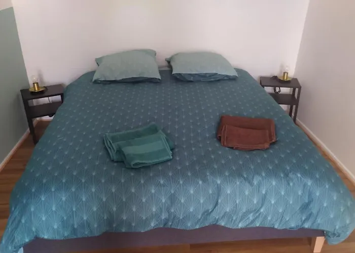 Plein Centre Apartament