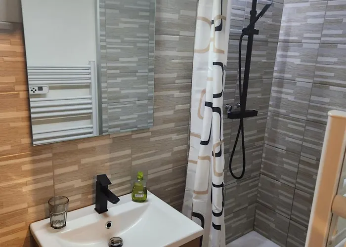 Plein Centre Apartament